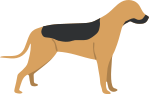Black and Tan