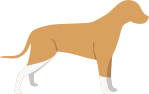 Tan