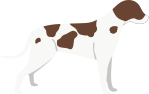 White and Brown
