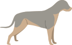 Wolf Gray