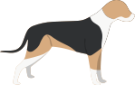 Black, Tan, and White