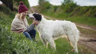 Borzoi Care